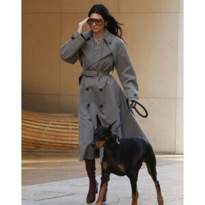 Purchase Kendall Jenner Beverly Hills Grey Trench Coat at Sale