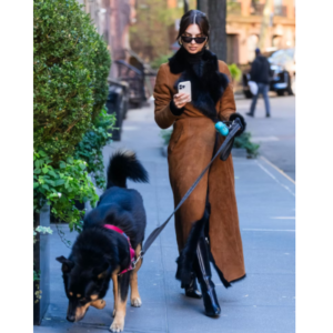 Shop Emily Ratajkowski Suede Leather Shearling Coat