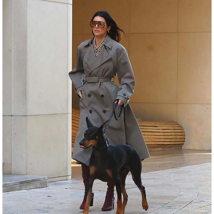 Shop Kendall Jenner Beverly Hills Grey Trench Coat Online
