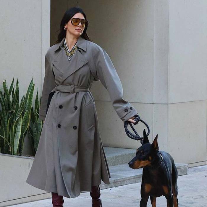 Buy Kendall Jenner Beverly Hills Dog Walk Grey Coat